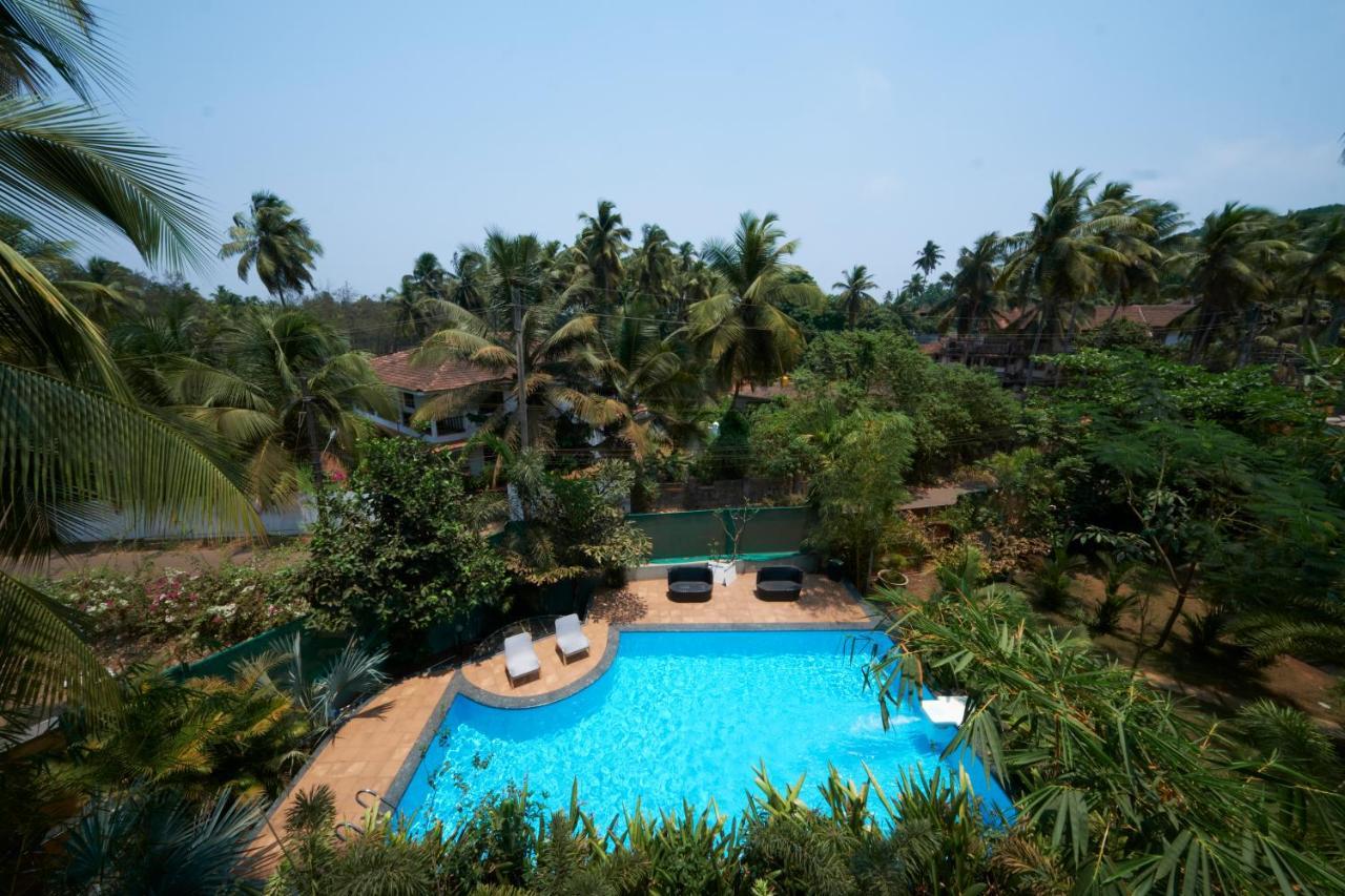 Fig House Anjuna-Chapora Road , Siolim 1Bhk Suite Oxel Zewnętrze zdjęcie